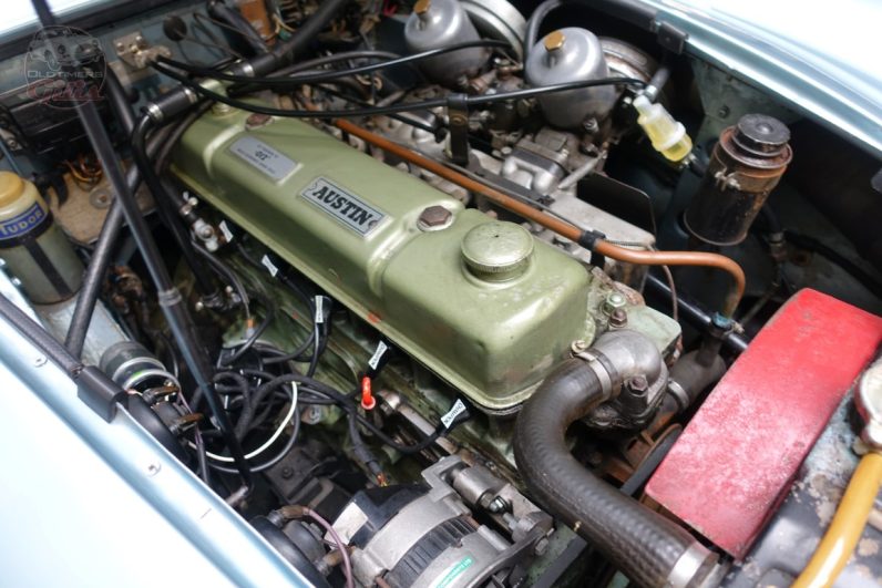 1967 Austin-Healey 3000 Mk III BJ8